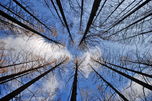 Our 6 tips to connect with nature
