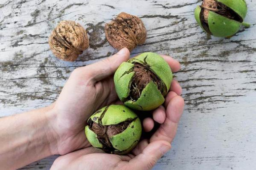 Why we flavour our bars with real food
