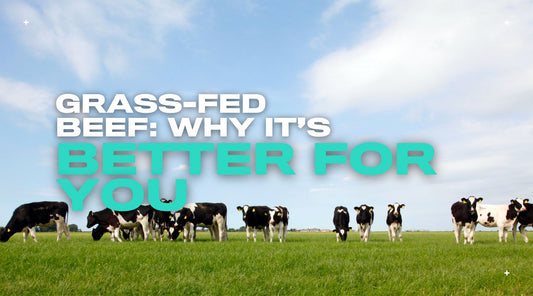 Grass-Fed Beef: Why It’s Better For You