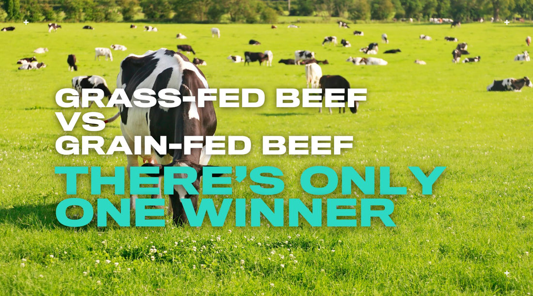 Grass‑Fed vs Grain‑Fed Beef: Only One Real Winner