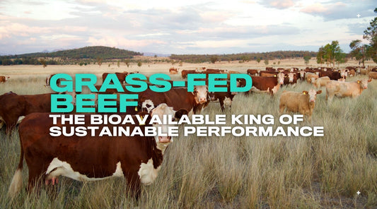 Grass-Fed Beef: The Bioavailable King of Sustainable Performance