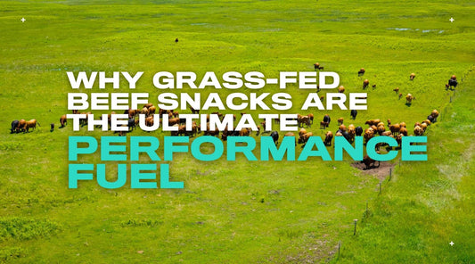 Why Grass-Fed Beef Snacks are the Ultimate Performance Fuel